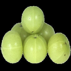 Amla Fruit (indian-gooseberry)