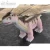 Import Amusement Park Shopping Mall Playground Products Dinosaur Rides from China