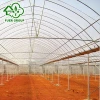 Anti-UV 200 micron greenhouse film for planting fruits and vegetables