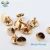 Import antique brass cone double head screws dome studs buttons and rivets for bag studs bottom from China