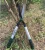 Import anvil bypass lopper telescopic handle tree branch pruning shears pruner grass hedge shear from China