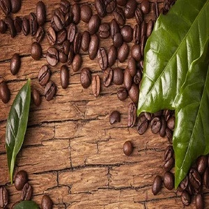 ARABICA COFFEE BULK ROBUSTA COFFEE/ ARABICA COFFEE CHEAP PRICE WHOLE SALE