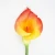 Import Artificial big Calla lily Single Silk Flowers Real touch 15*93CM Faux Calla lily for Home Wedding party garden Decoration from China