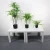 Import artificial green plant   indoor decorate plant from China