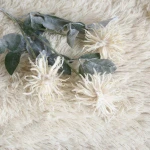 Artificial sea urchin flower arrangement in the living room for simulated flower wedding