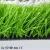 Import ASHER durable system high quality good price football artificial grass from China