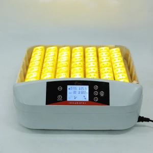 Automatic duck quail ostrich small egg incubator for 48 eggs for sale