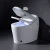 Bathroom Good Sanitary Ware Ceramic Wc Bidet Toilet One Piece Siphonic Smart Intelligent Toilet
