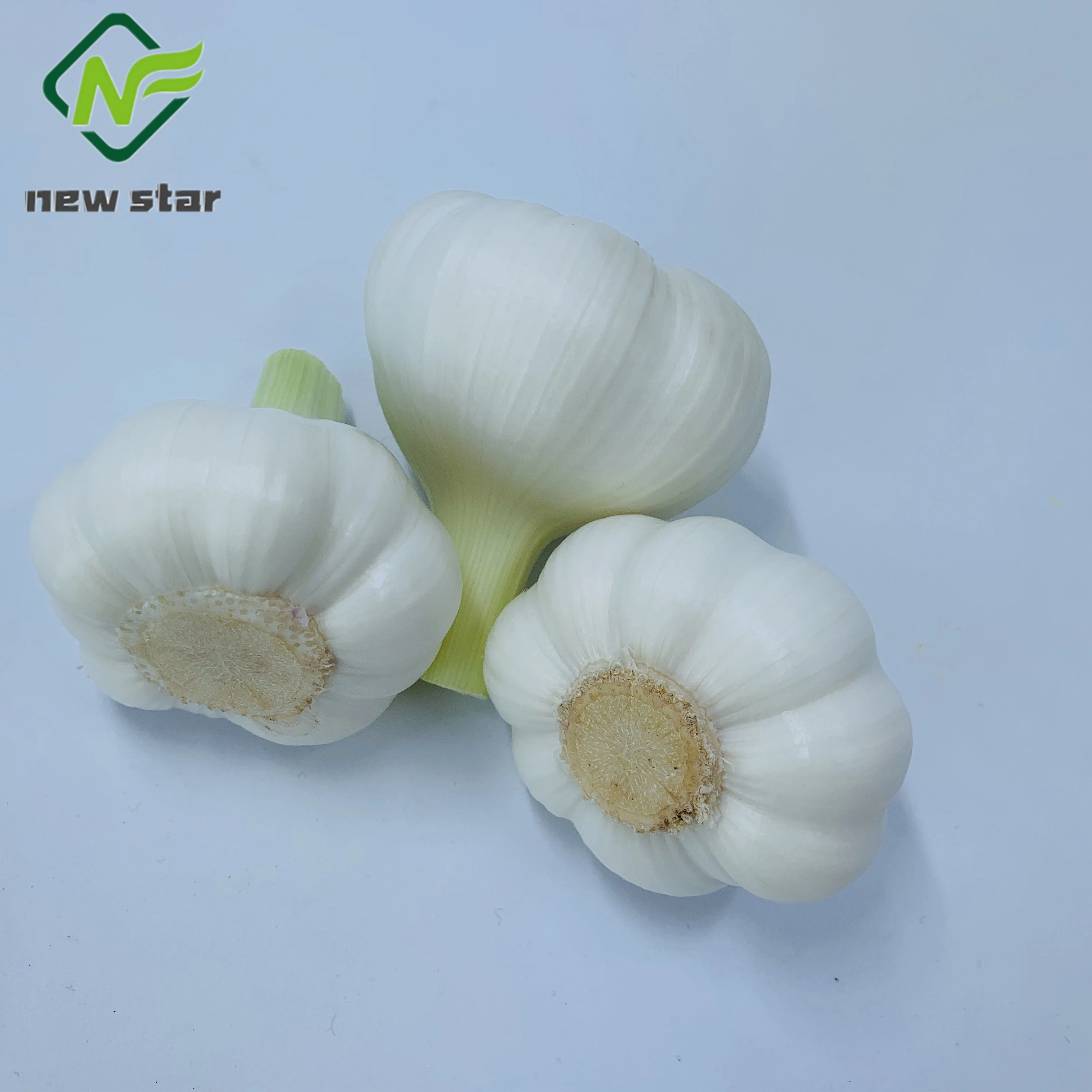 bawang putih garlic/ chinese fresh garlic white for sale