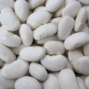 Best Beans-Large white lima Beans