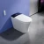 Import Best quality Floor Mounted Mountedoom electric one piece bidet toilet Hip cleaning intelligent toilet from China