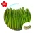 Import Best quality fresh frozen asparagus manufacturer from China