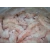 Import Best Quality Giant Tiger Shrimp Export Quality Prawn from United Kingdom