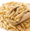 Best Quality Pine Nuts