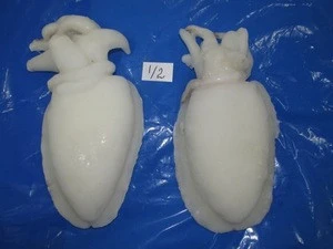 Best Quality Whole Round Block Frozen Baby Cuttlefish for sale