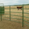 Best selling galvanized farm metal yard gates/cattle panel /horse panel