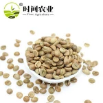 Best Vietnam green coffee beans Robusta coffee
