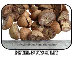 Betel Nuts Split