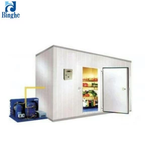 BingHe durable refrigeration project machinery solar cold room
