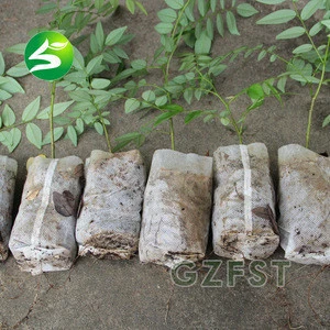 biodegradable non woven pp material plant seedling nursery bag