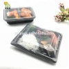 Biodegradable Plastic Food Containers Disposable Takeaway Lunch Box