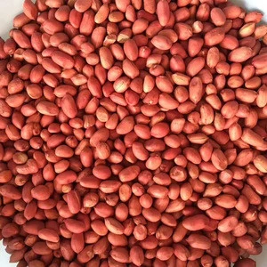 Blanched Red Skin Peanuts Kernels/9/11 11/13 Peanuts In Shell/Roasted and Salted Peanut