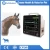 Import Blood Testing equipment  Large Screen Veterinary Capnography Patient Monitor with 12.1 inch Screen and High Resolution from China