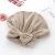 Import Bow Quickly Dry Hair Hat Shower Caps Microfiber Bathroom Hats Wrapped Towel Women Girls Dry Hair Bathing Cap from China