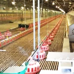 broiler pan feeder chicken feeder pan plastic pan feeder poultry farming