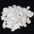Import bulk cheap white pumpkin seeds in wholesale sales from China