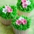 Import Cake Decorating Supplies Food Grade Russian Icing Piping Tips Nozzles Pastry from China