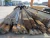 Import carbon steel angle bar Steel Angle Bar from China