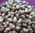 Import Cashew Nuts &amp; Kernels WW240, WW320, WW450, SW240, SW320, LP, WS, DW Grade from Philippines