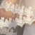 Import Cheerfeel VE342 Personal Customize European lace edge short wedding bridal veils and bride to be veil from China