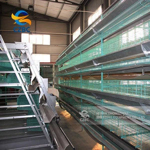 Chicken cage for sale in malaysia chicken egg poultry farm