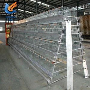 chicken chicken quail cages for sale