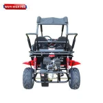 Children Racing New 200cc CVT Double Seats Reverse cross Go Kart CART Dune Buggy