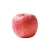 Import China fresh fruit red fuji apple from China