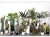 Import China plants tree Artificial bonsai traveller&#39;s-tree monstera leaf artificiales ornamental plants for home or outdoor decoration from China