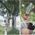 Import China suppliers chain saws tall tree pruner/pruning saw on sale from China