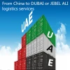 China to Dubai low sea freight door to door quality service