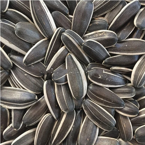 Chinese sunflower seeds with different specification
