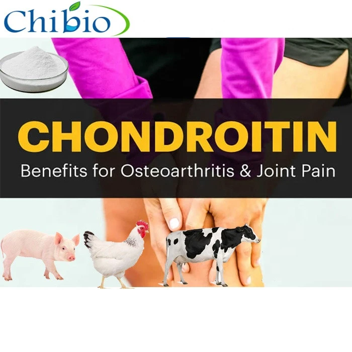 Chondroitin Sulphate Powder Medical Grade for Joint Bone Health Supplement