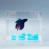 Clear Small Acrylic Aquarium Plastic Fish Tank Home Decoration Custom
