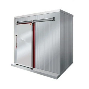 Cold storage freezer room / DIY cold room for meat and fish
