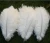 Import Crystal Ostrich Feather for wedding decoration home decoration from China