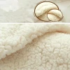 Custom Designer 100% Polyester Sherpa Fleece for Winter Garment Sweatshirt Fabric