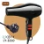 Import DC Motor Professional Hair Dryer wholesale hair dryer 1200w from China