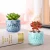 Import Desktop Balcony Bonsai Pot Pottery Mini Ceramic Flower Pot With Bamboo Tray from China