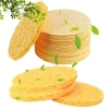 Different Shape Face Cleaning Compressed Cellulose Foam with Natural Material Body Shower Sponge